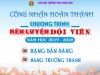 Công nhận "Chương trình rèn luyện Đội viên" năm học 2021 - 2022